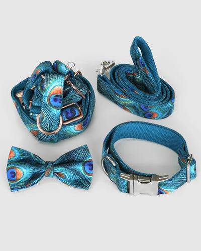 Peacock Collar Set