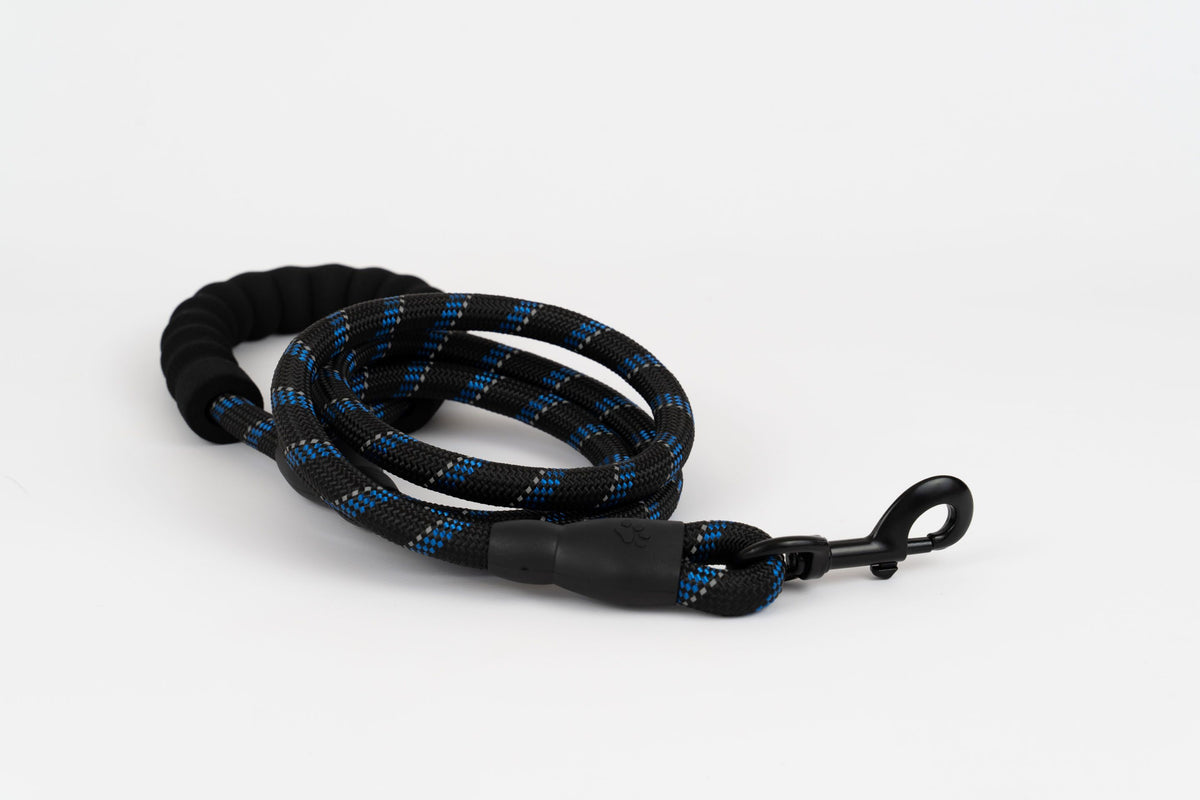 Black Blue sport leash