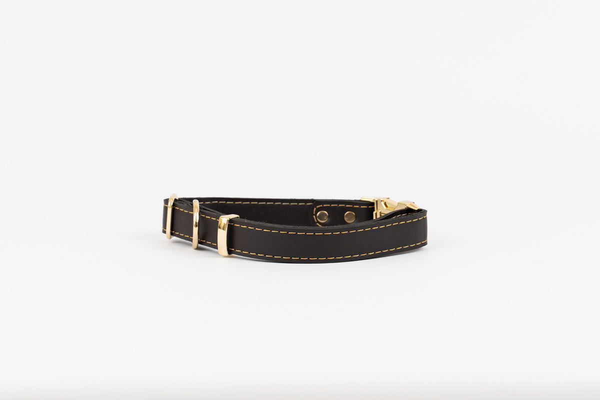 Milo Gold Leather Collar